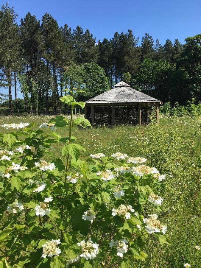 Hollicarrs - Forest Retreat Lodge
