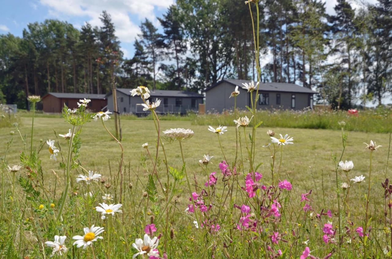 Hollicarrs - Forest Retreat * York