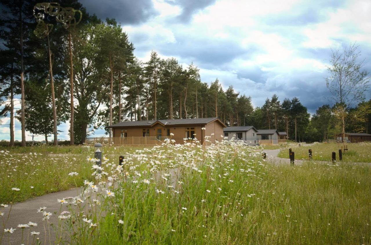 Hollicarrs - Forest Retreat * York