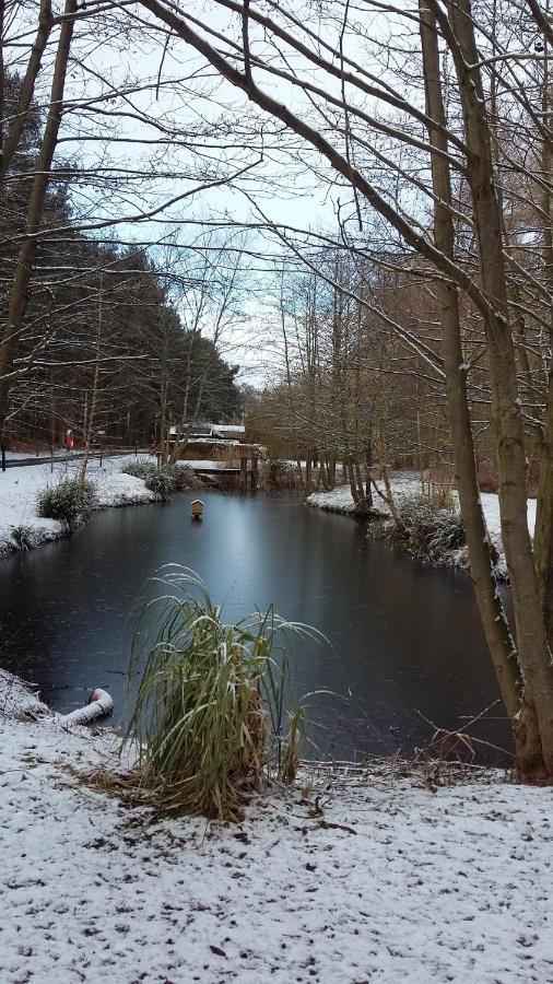 Hollicarrs - Forest Retreat * York