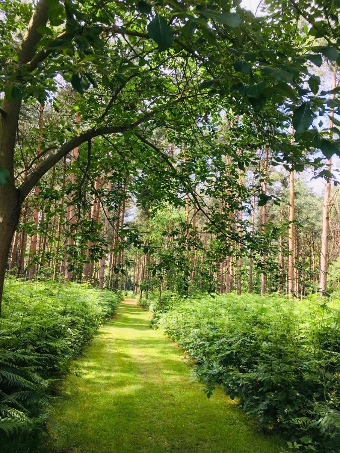 Lodge Hollicarrs - Forest Retreat *
